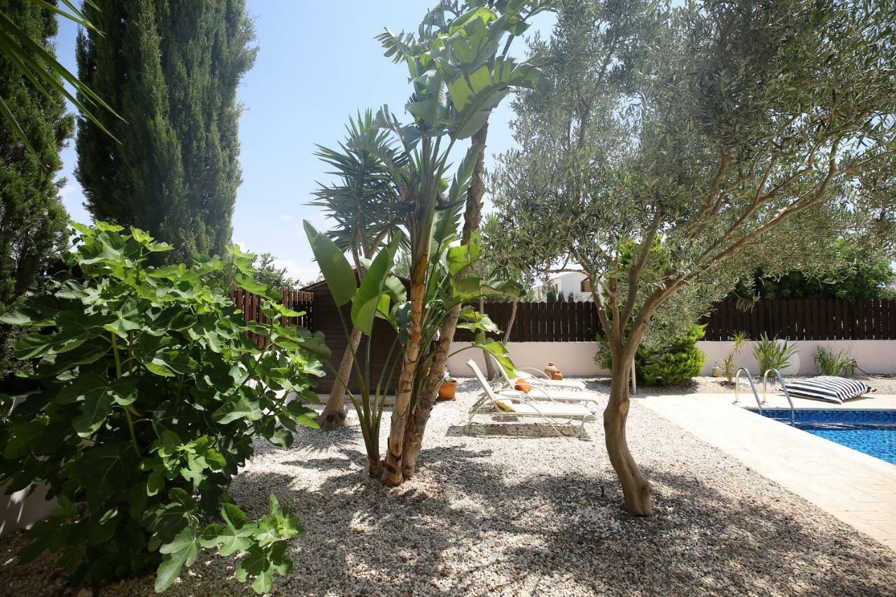 Unique Beach Luxurious Villas Айя-Напа Экстерьер фото